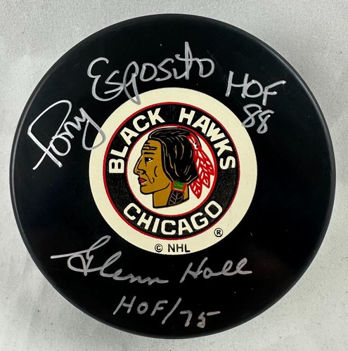 Tony esposito glenn hall hof - esposito,