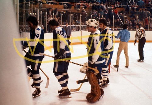 Raro scivolo hockey - scivolo, da
